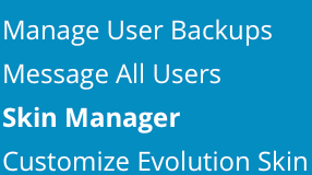 access skin manager
